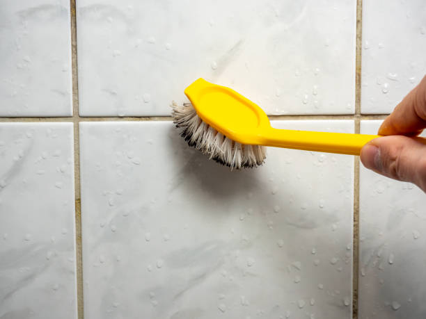 Best Office Mold Removal Services  in Cayce, SC