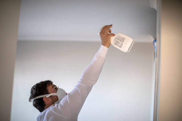 Mold Removal and Inspection in Cayce, SC