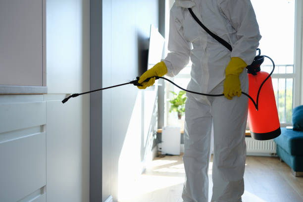 Cayce, SC Mold Removal Company